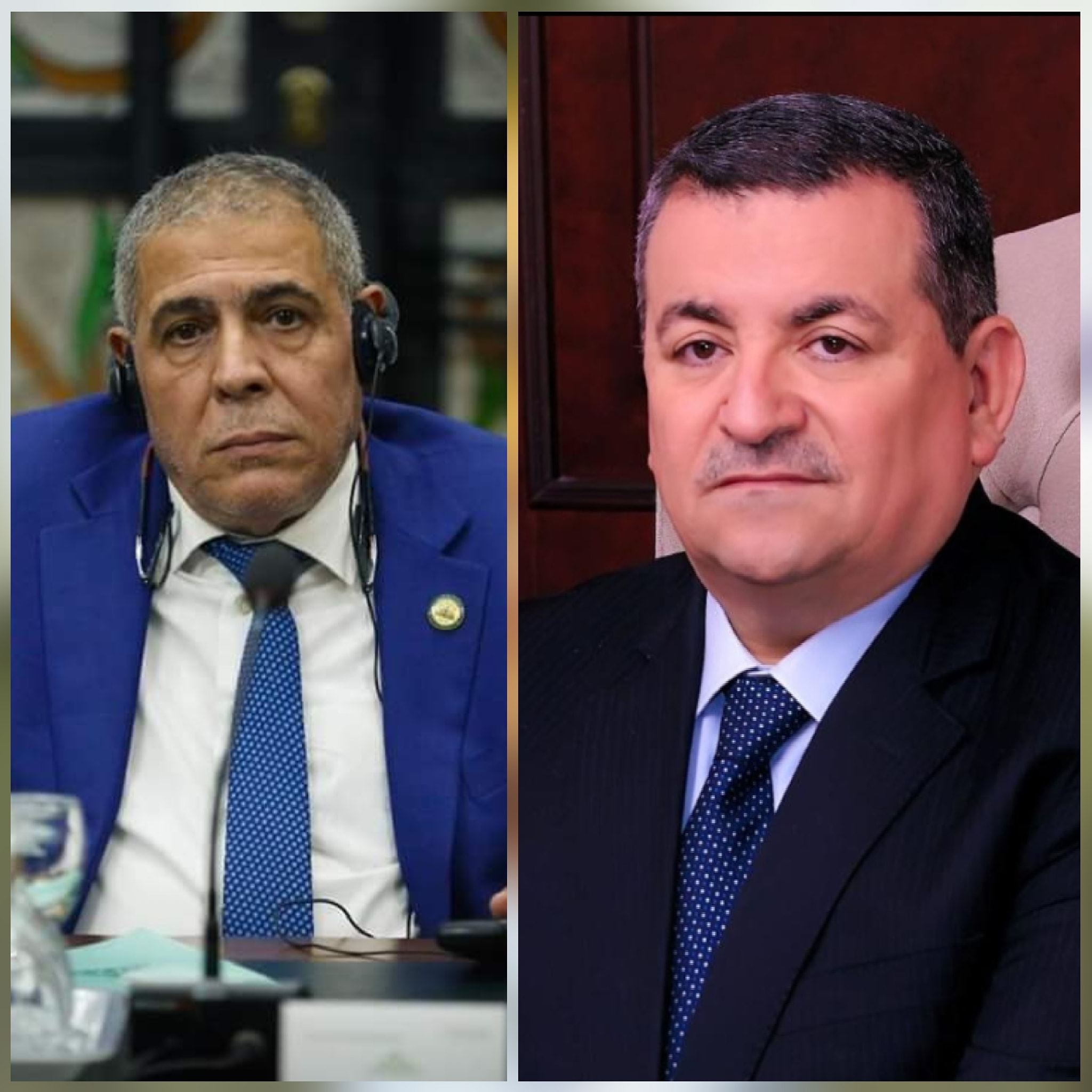 أسامة هيكل